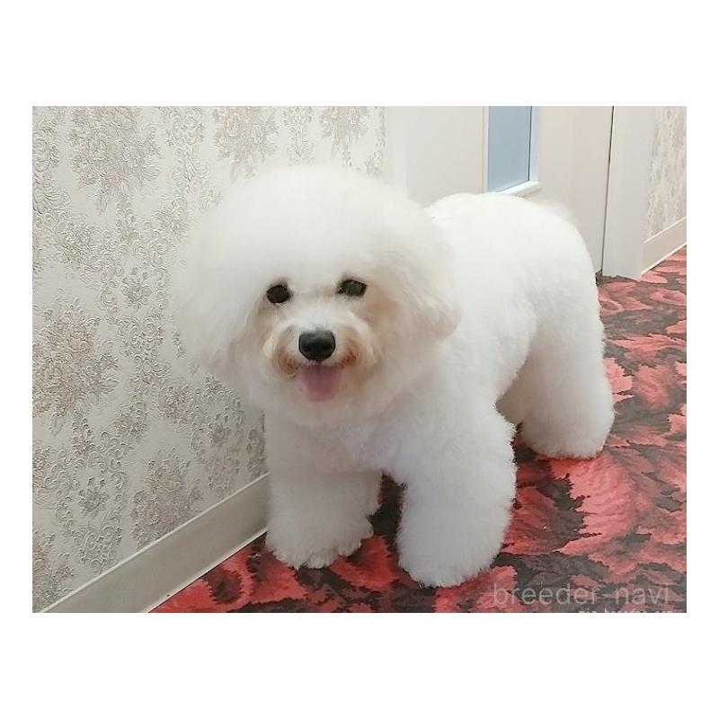 しょうこちゃん1枚目