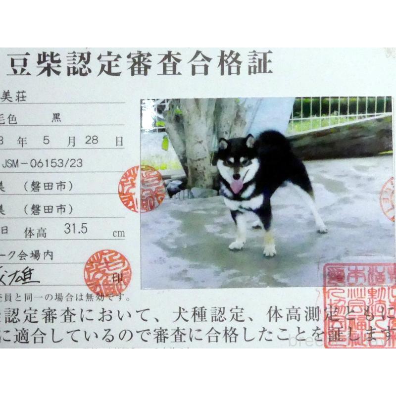 玄輝くん1枚目