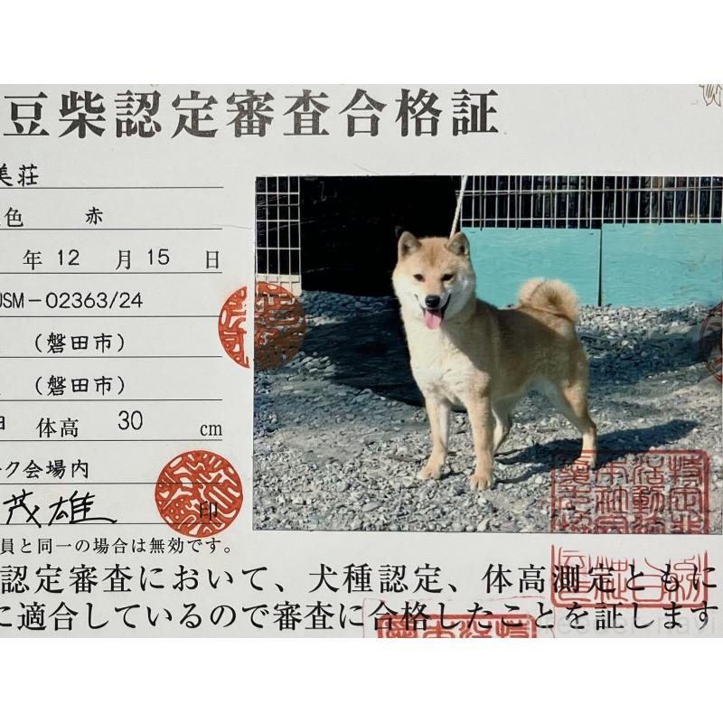 小晶ちゃん1枚目