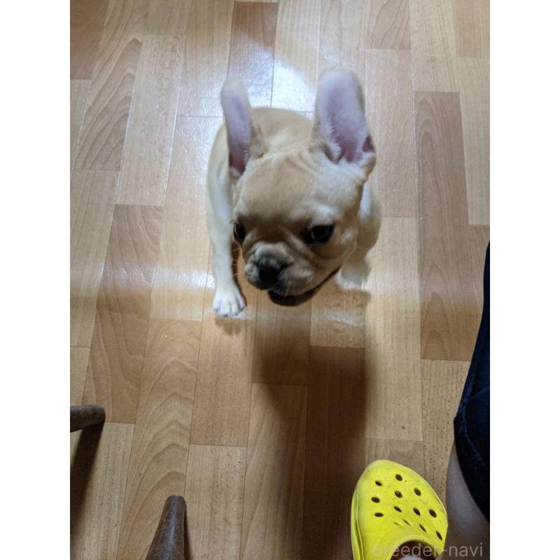 くん1枚目