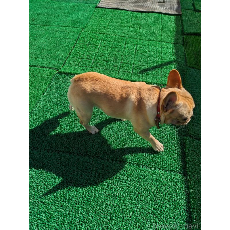 くん1枚目