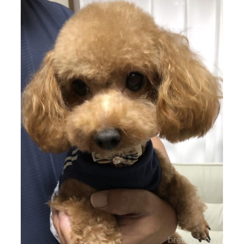 ちゃん1枚目