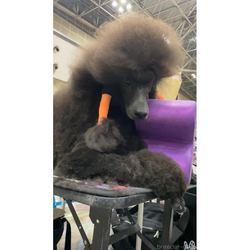ちゃん1枚目