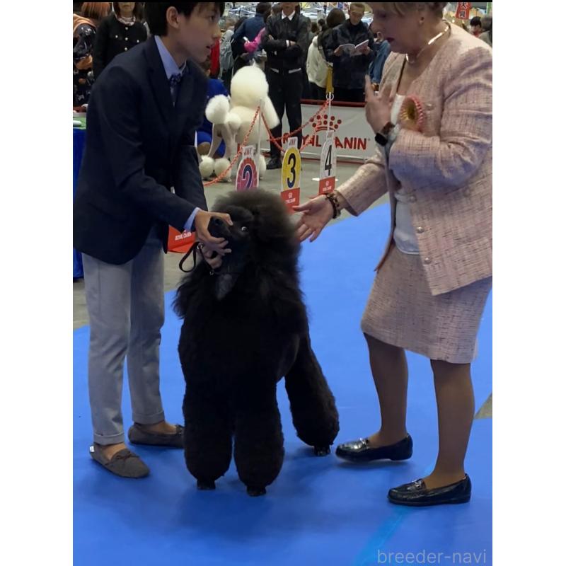 ちゃん1枚目