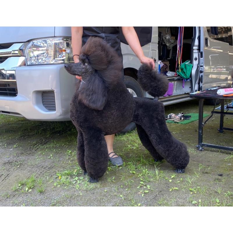 ちゃん1枚目