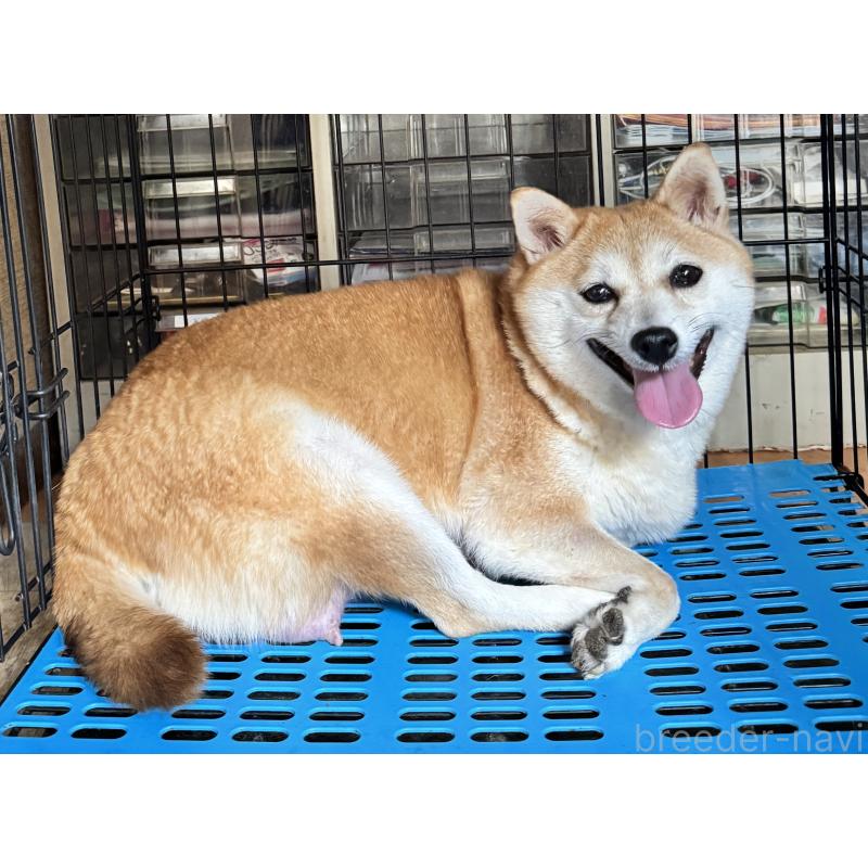 乃文ちゃん1枚目