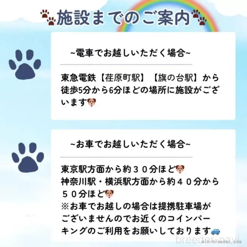 販売中の東京都のミックス犬-407314の7枚目