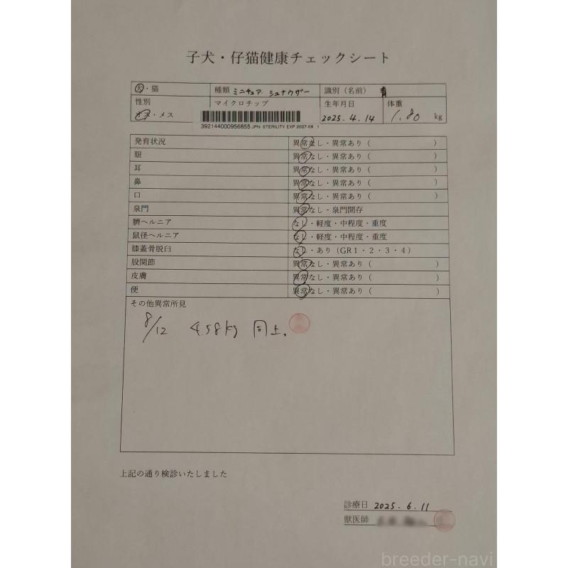 成約済の千葉県のミニチュアシュナウザー-398954の2枚目