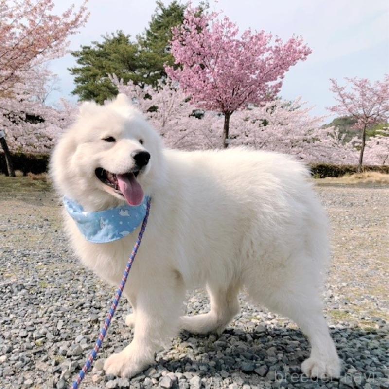 ERICくん1枚目