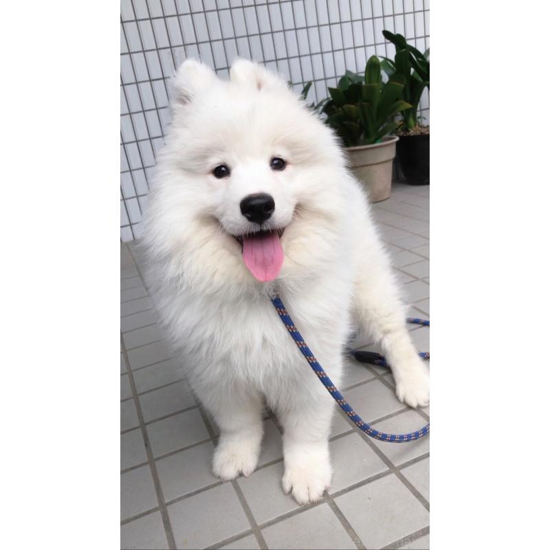 ERICくん1枚目