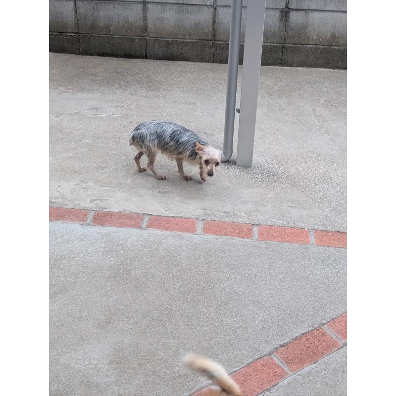 ハルちゃん1枚目