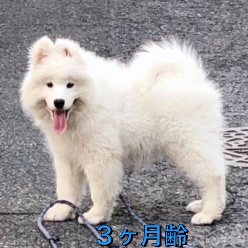 ERICくん1枚目