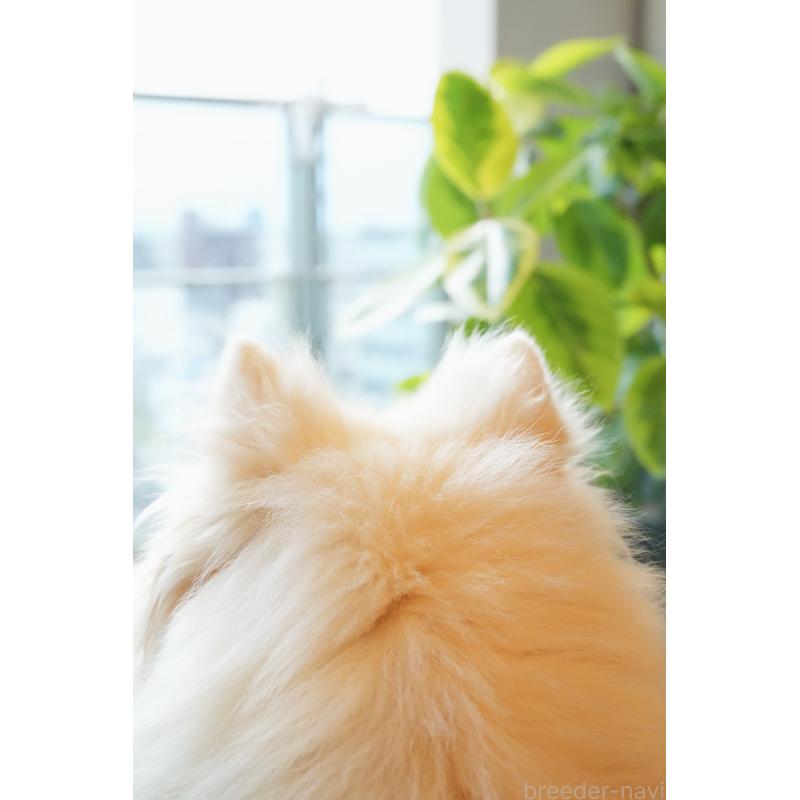 大豆ちゃん1枚目