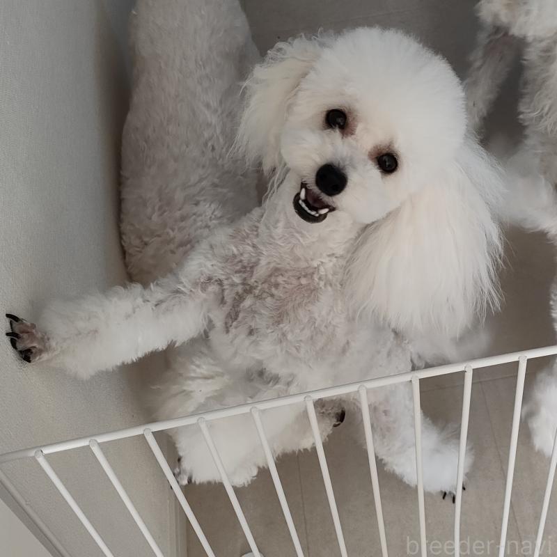 ちゃん1枚目