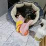 オンライン見学