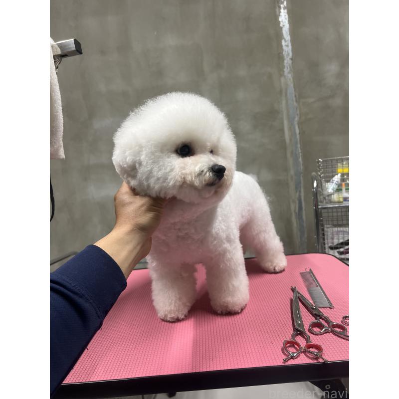 オペラちゃん1枚目