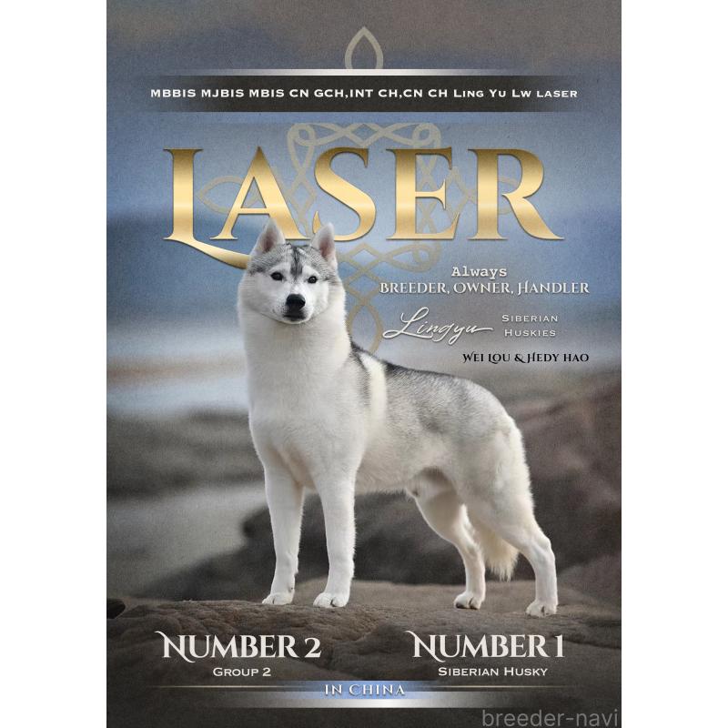 Laserくん1枚目