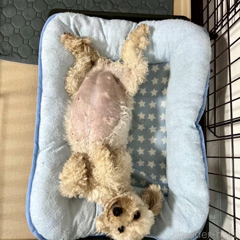 ウィッシュちゃん1枚目
