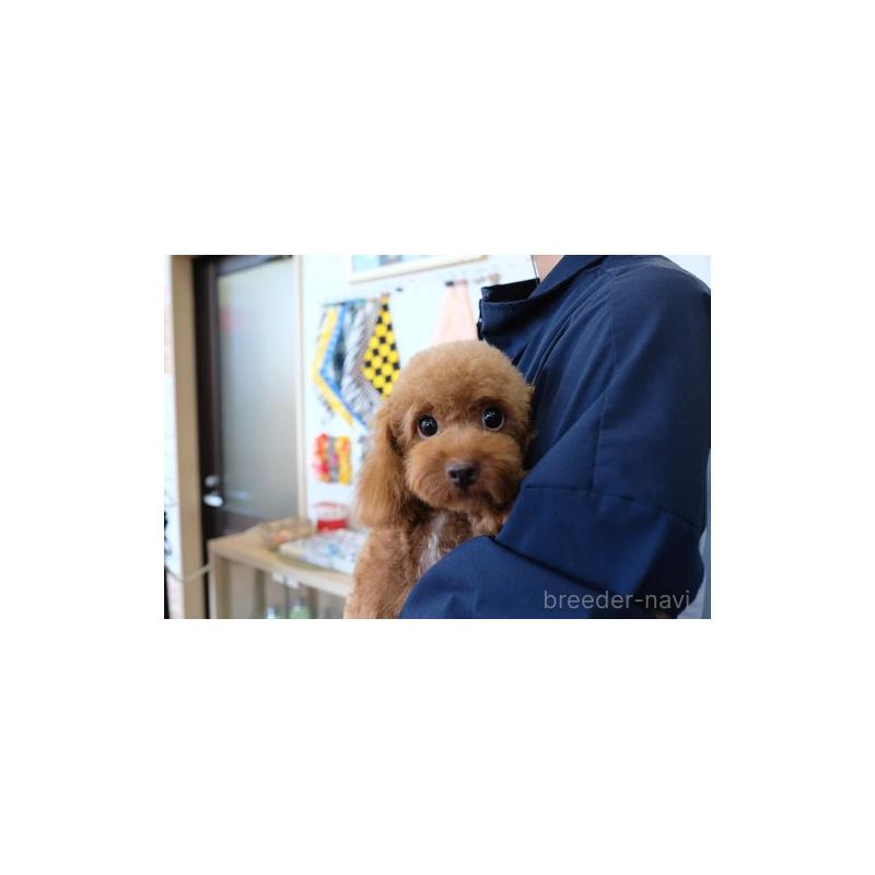 テラちゃん1枚目