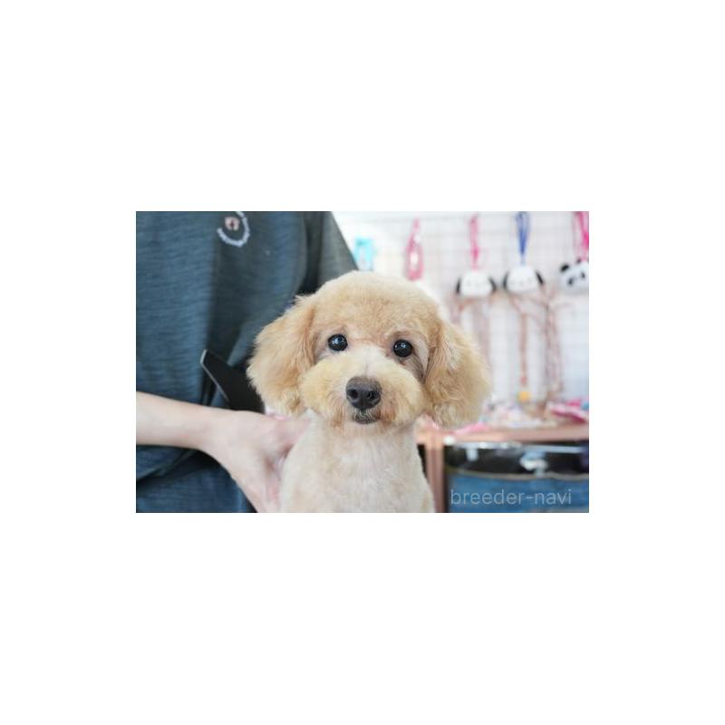 サンマルクちゃん1枚目