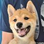 オンライン見学