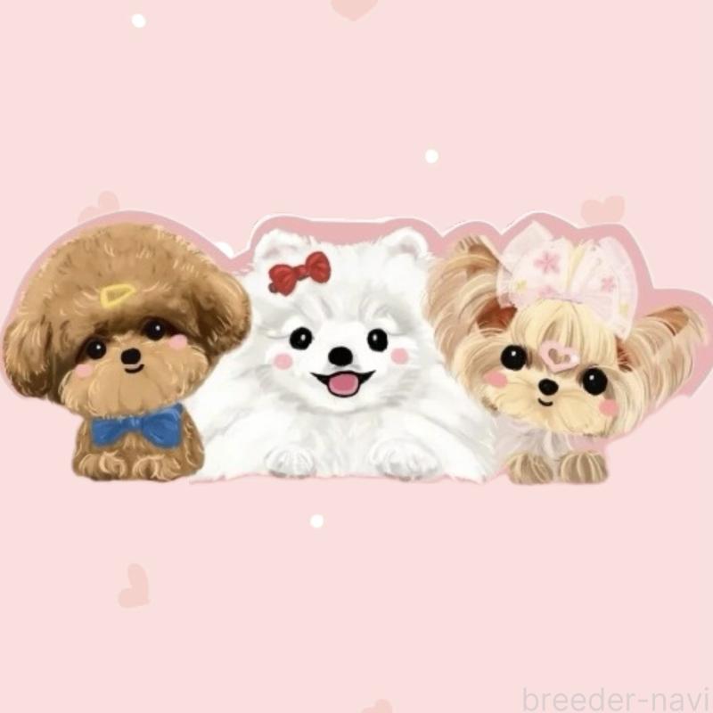 成約済の愛知県のフレンチブルドッグ-407637の3枚目