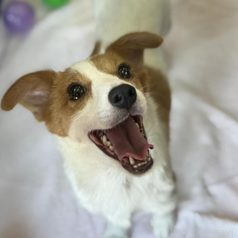 ちゃん1枚目