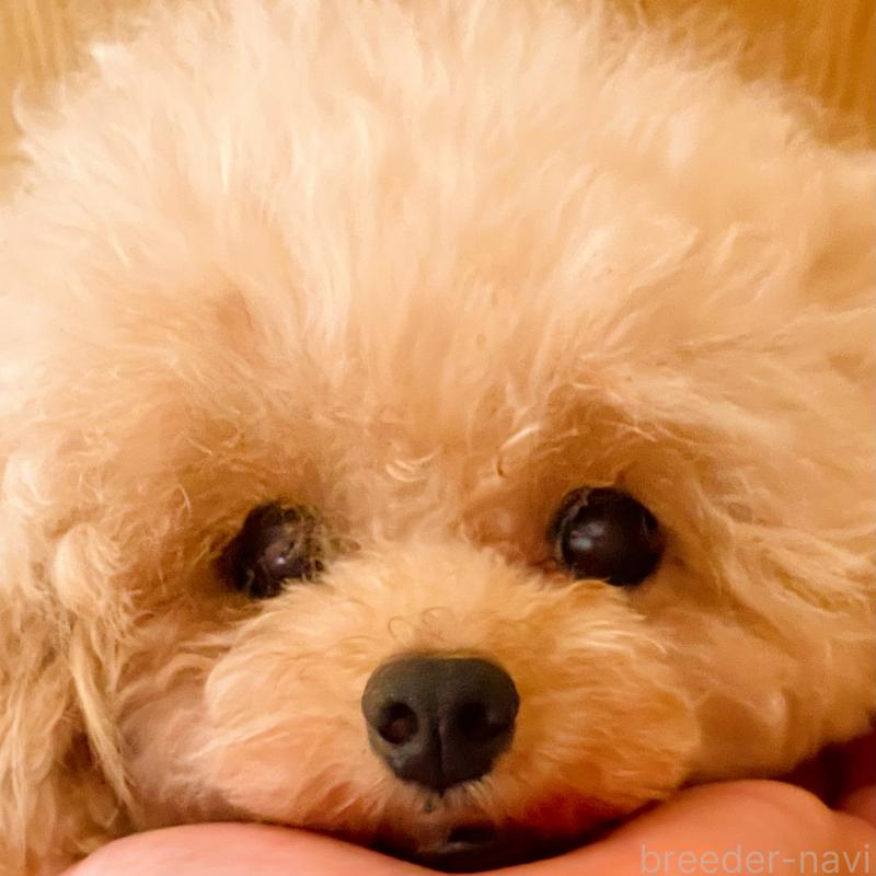 ちゃん1枚目