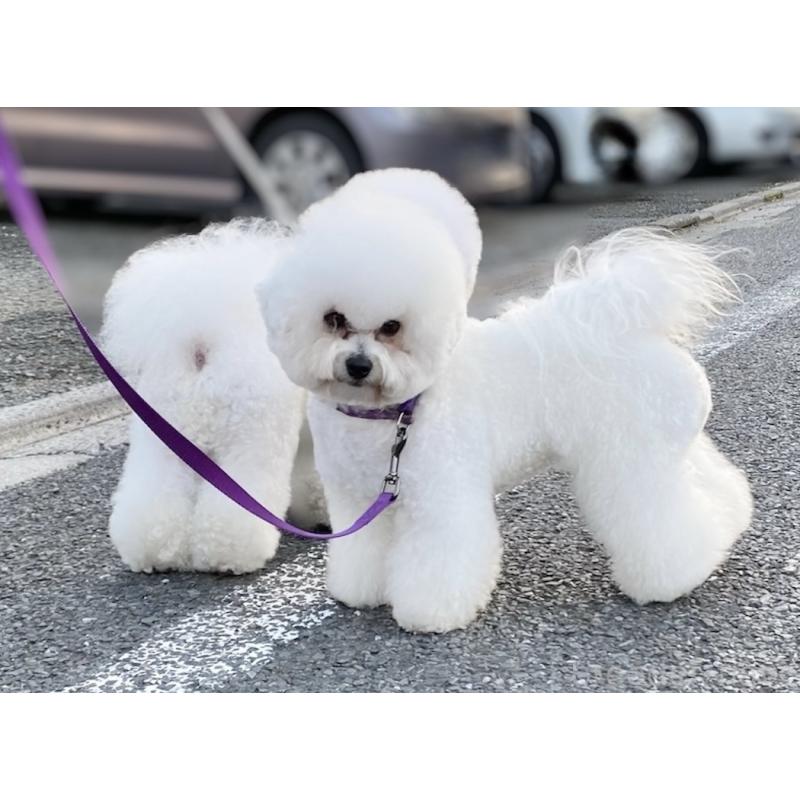 ベィビィちゃん1枚目