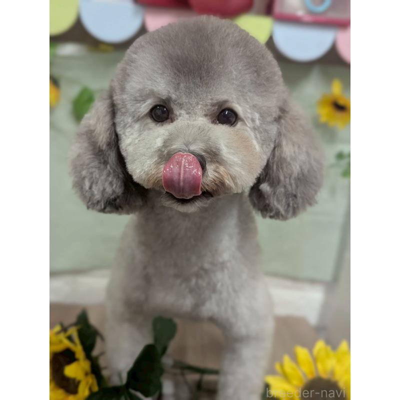 ちゃん1枚目