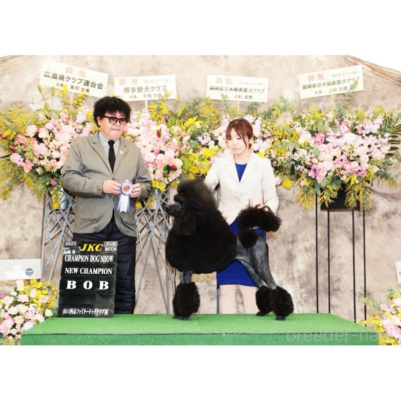 むーむちゃん1枚目