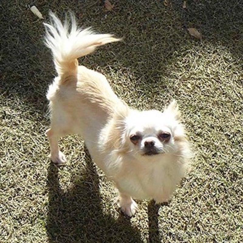 マミロちゃん1枚目