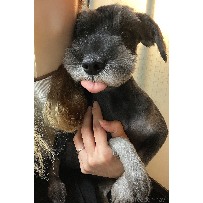マルモちゃん1枚目