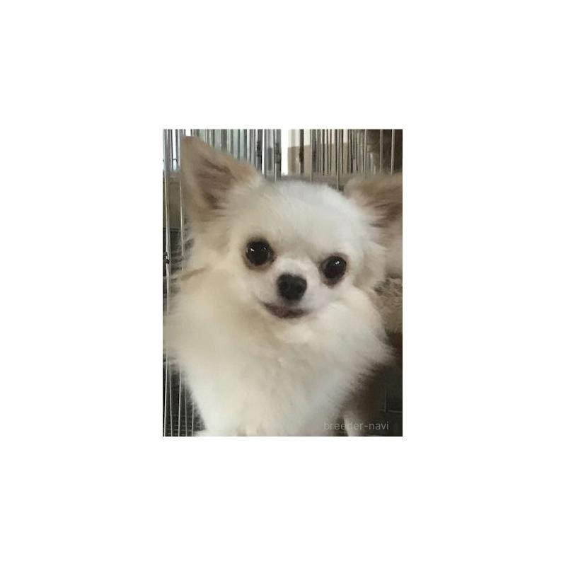 しゅらくん1枚目