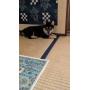 オンライン見学