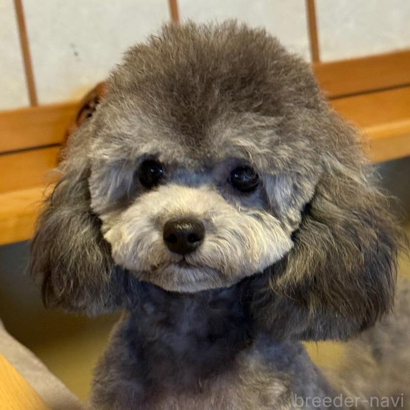 ププちゃん1枚目