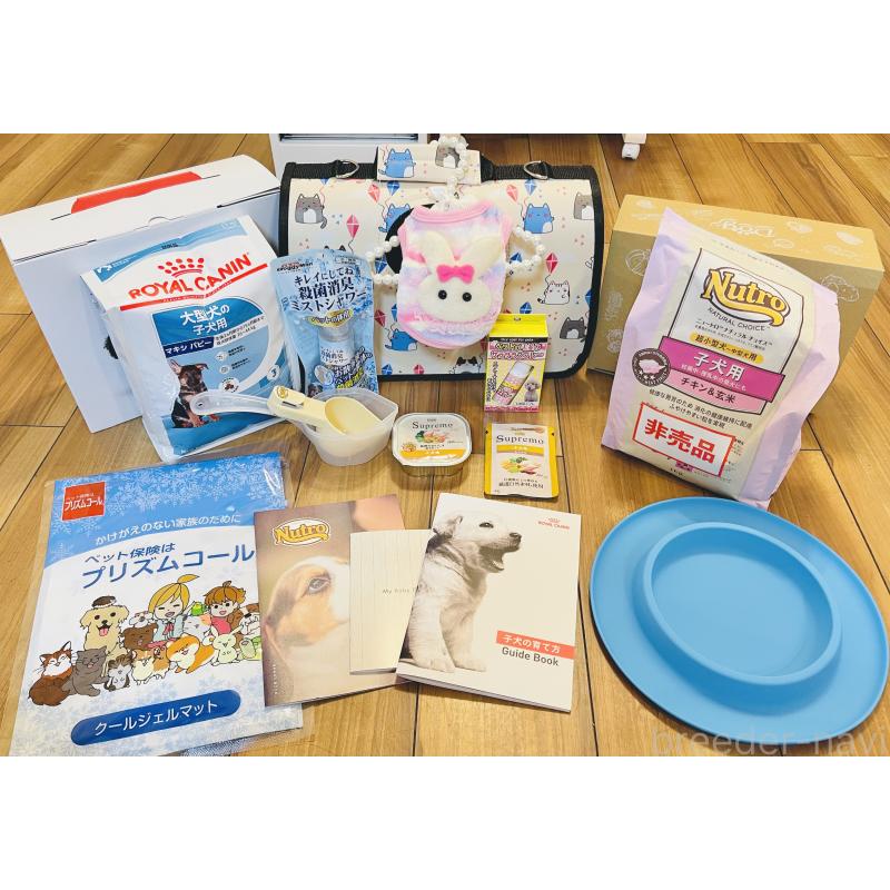 成約済の愛知県のフレンチブルドッグ-407637の2枚目