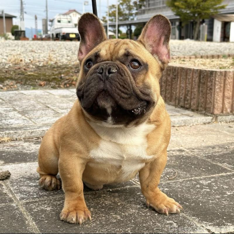 くん1枚目