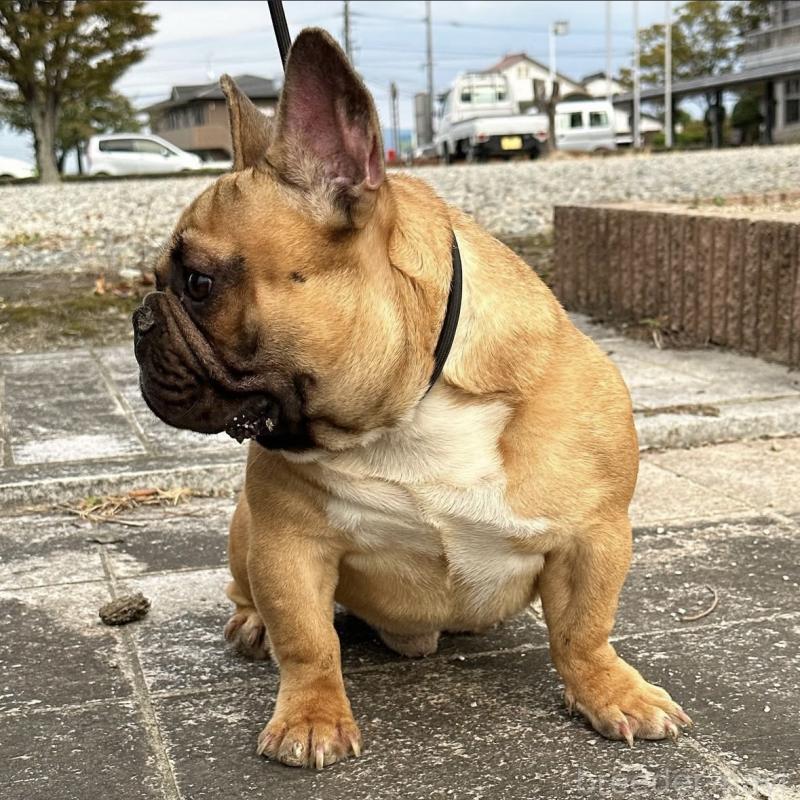 くん1枚目