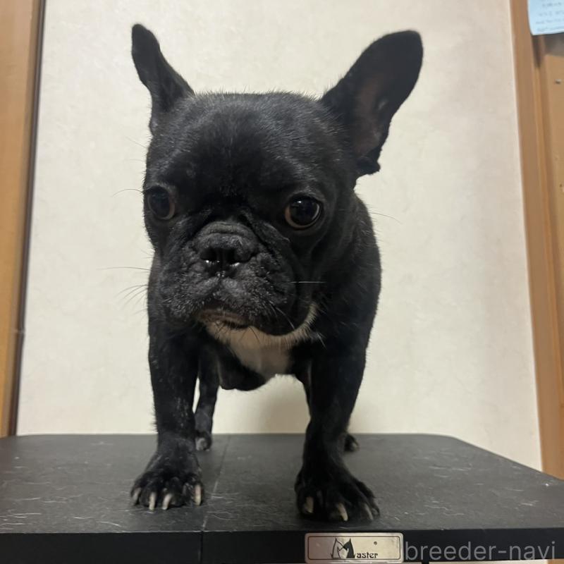 赤福ちゃん1枚目