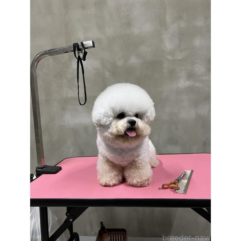 リーリーちゃん1枚目