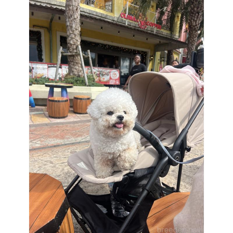 リーリーちゃん1枚目