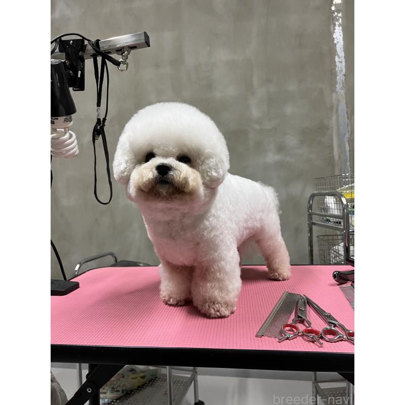 リーリーちゃん1枚目