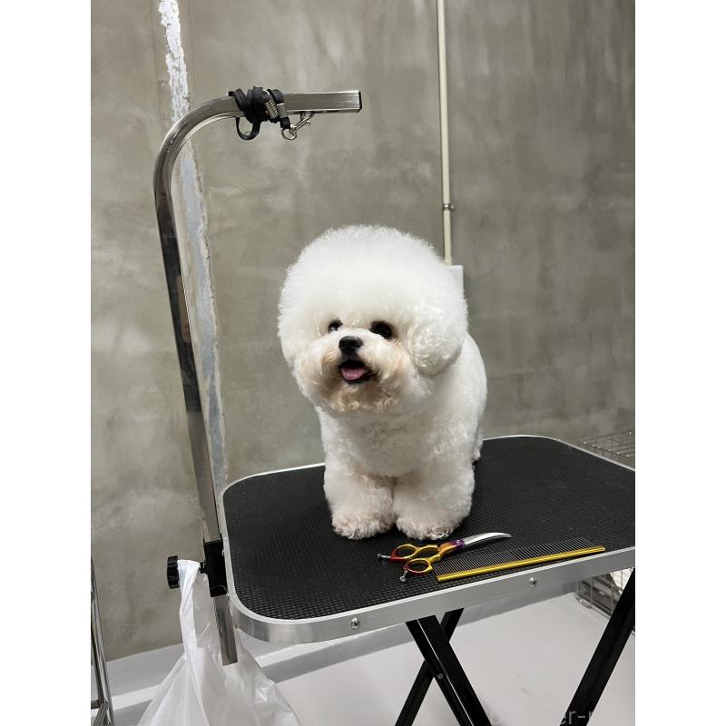 リーリーちゃん1枚目