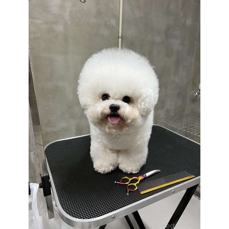 リーリーちゃん1枚目