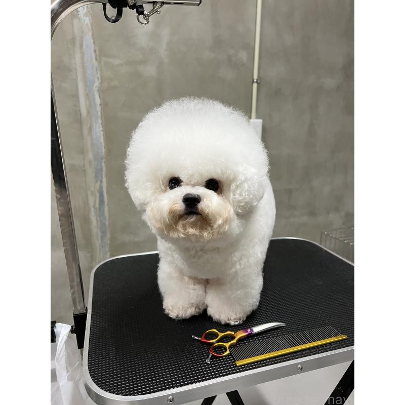 リーリーちゃん1枚目
