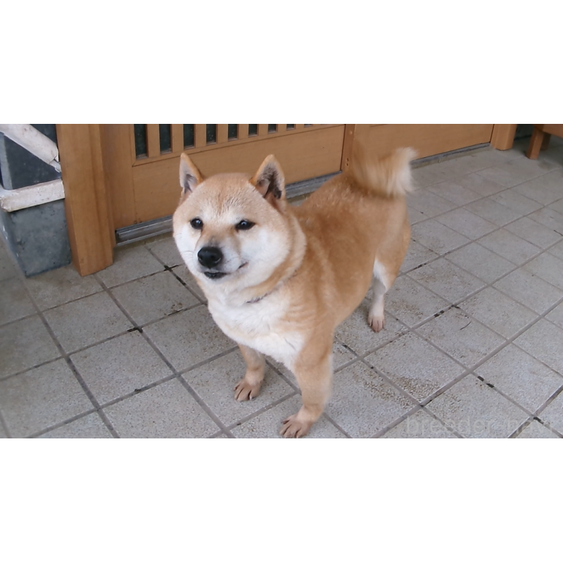 しおんちゃん1枚目
