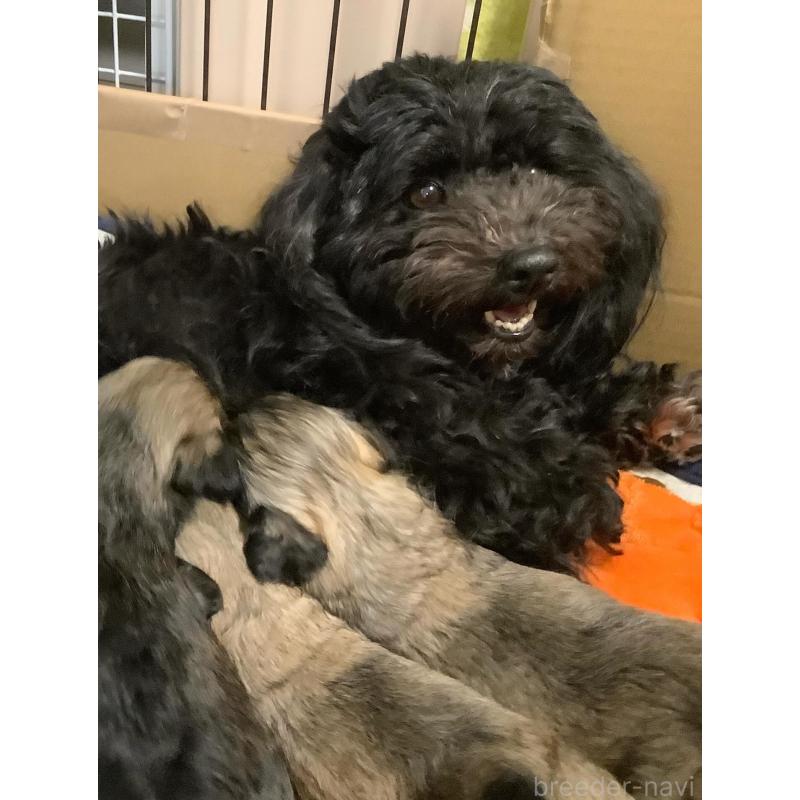 ちゃん1枚目