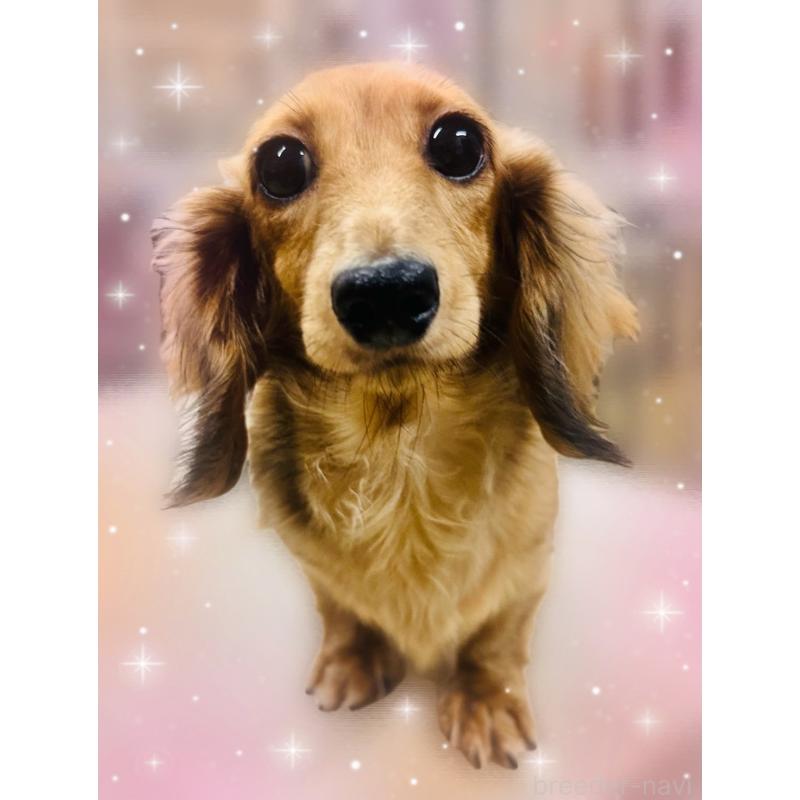 エスちゃん1枚目