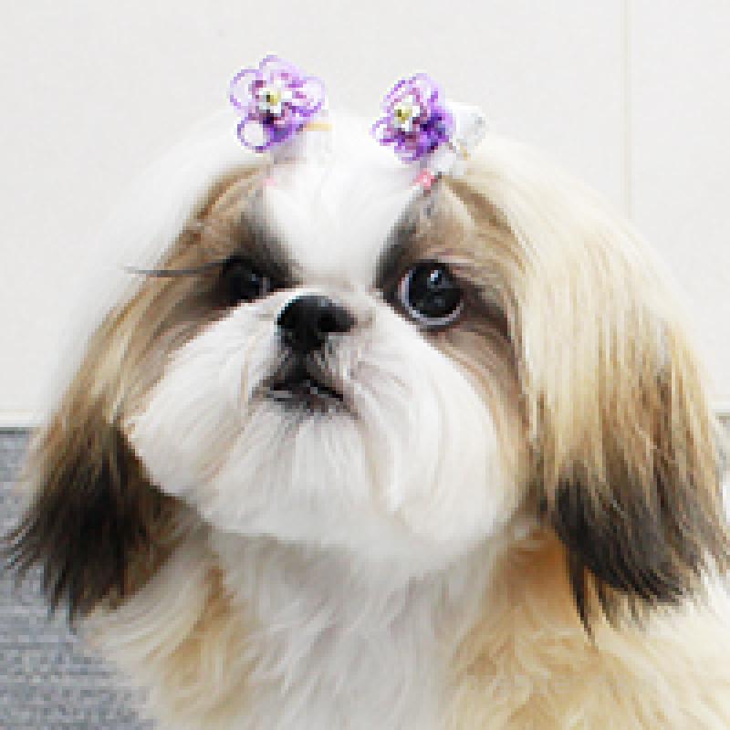 あんじゅちゃん1枚目